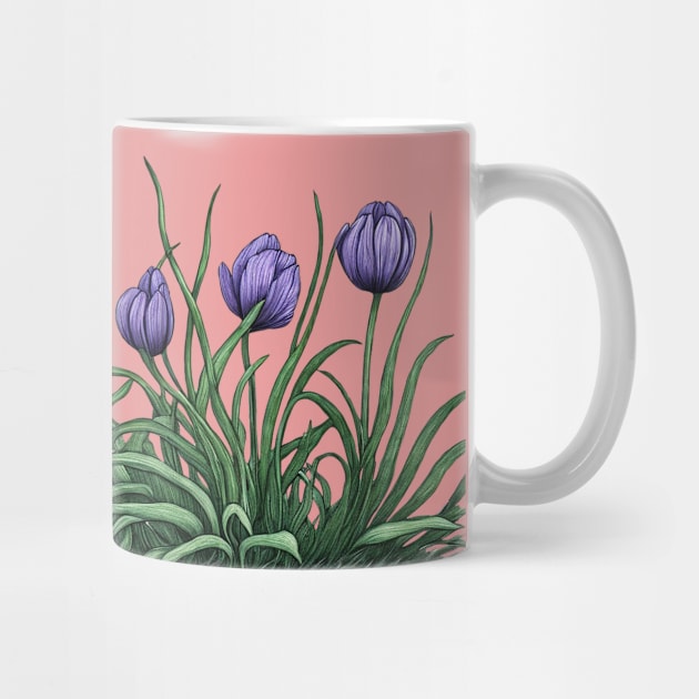 Anemone Flowers by XtremePixels